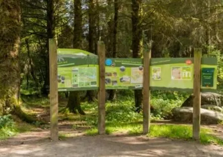 Innis Breeze - Between Murvagh & Rossnowlagh Beaches *